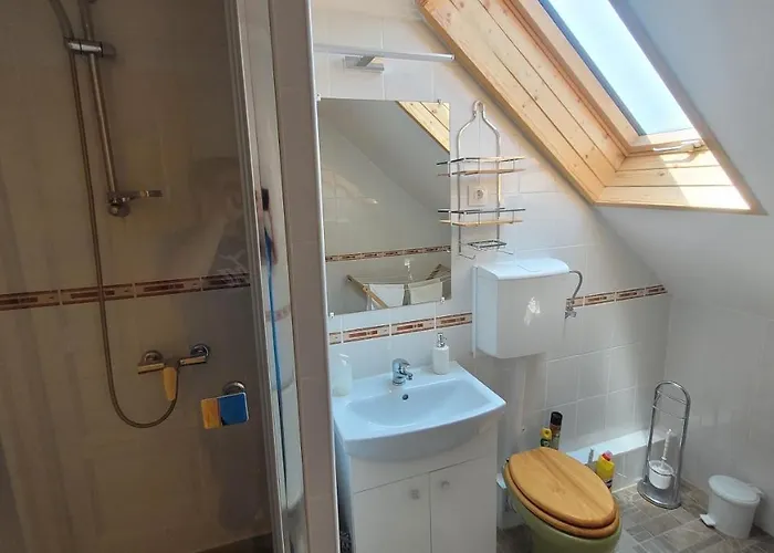 Zoltan Nyaralo זלקרוס